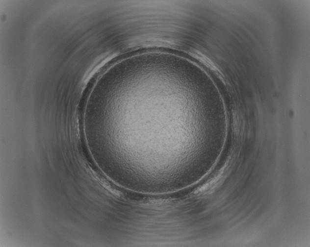 X0000076320782200610061409