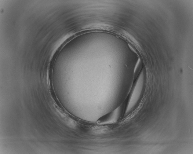 X0000076320788200610061409