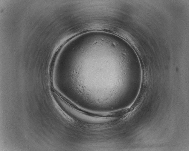 X0000076320795200610061409