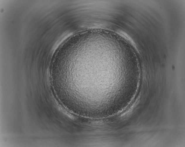 X0000076320798200610061409