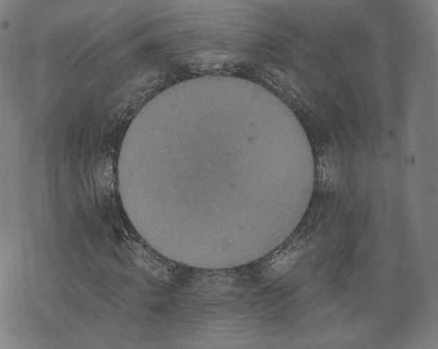 X0000076320820200610061408