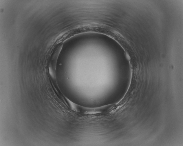 X0000076320822200610061408