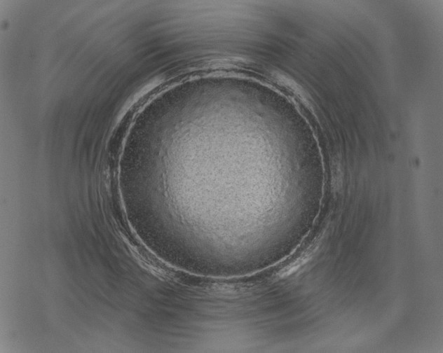 X0000076320827200610061408