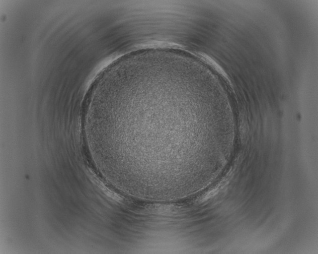 X0000076320831200610061408