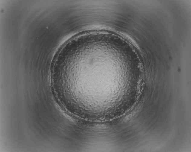 X0000076320839200610061408