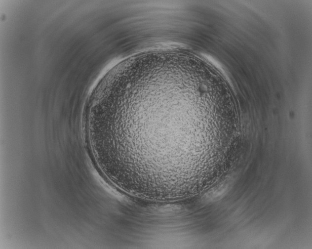 X0000076320851200610061408