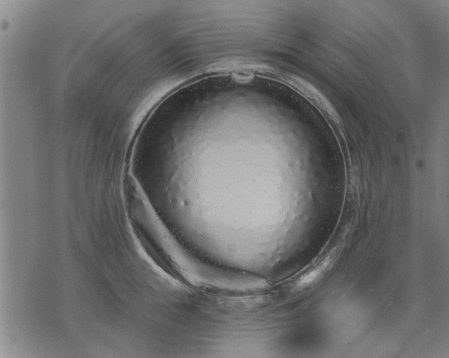 X0000076320855200610061408
