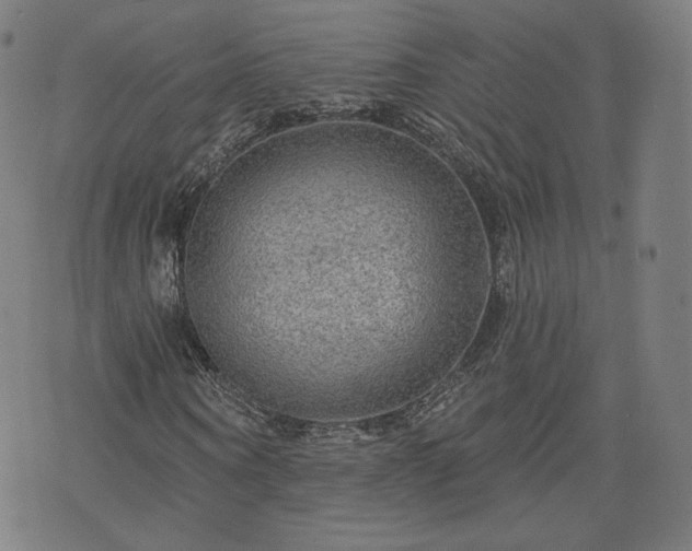 X0000076320866200610061408