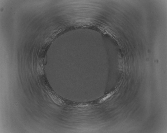 X0000076320868200610061408