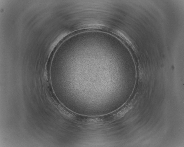 X0000076320883200610061407