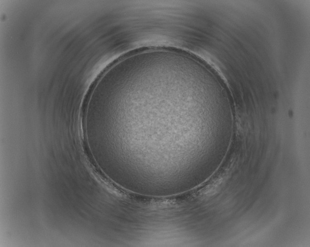X0000076320887200610061407