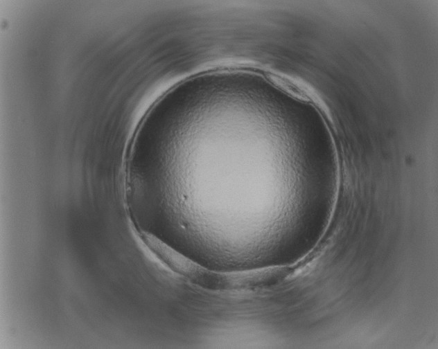 X0000076320911200610061407