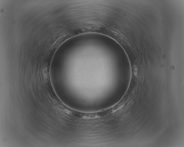 X0000076320915200610061406