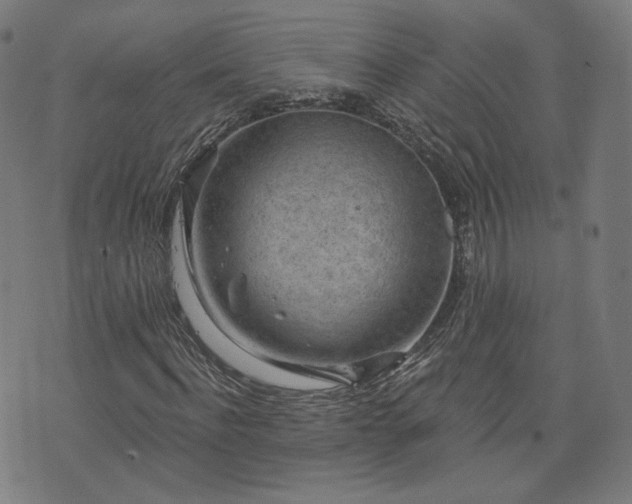 X0000076320916200610061406