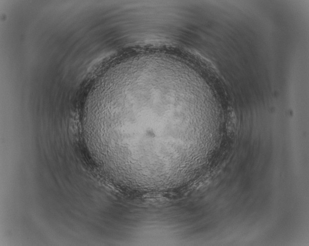 X0000076320918200610061406