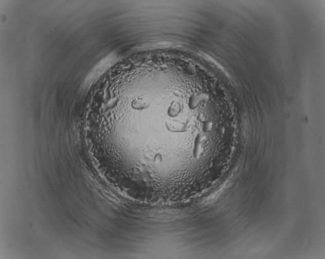 X0000076320921200610061406