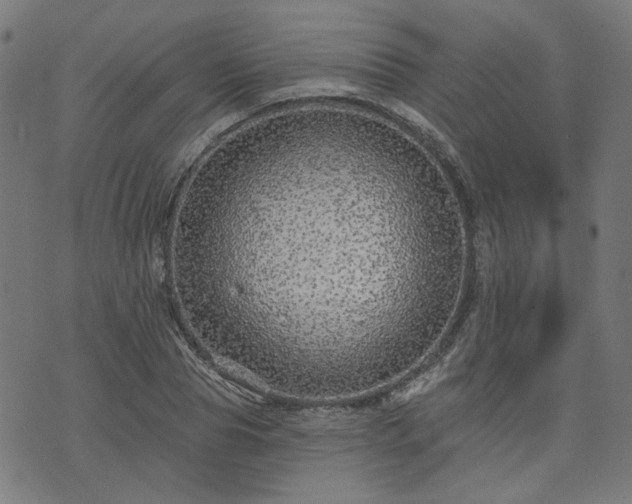 X0000076320929200610061406