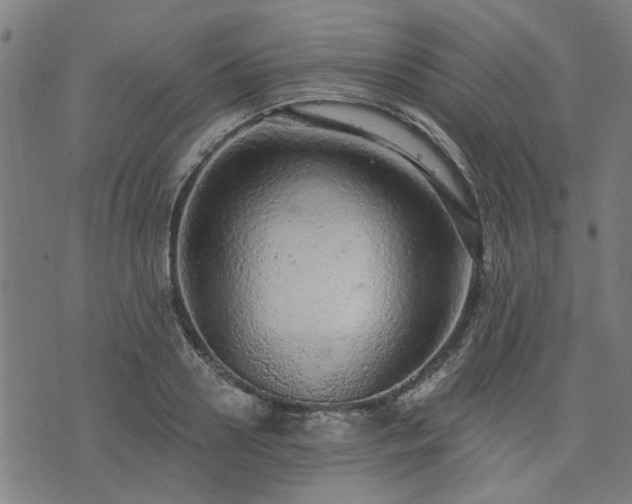 X0000076320938200610061407