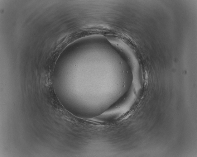 X0000076320965200610061406