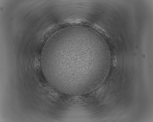 X0000076320966200610061406