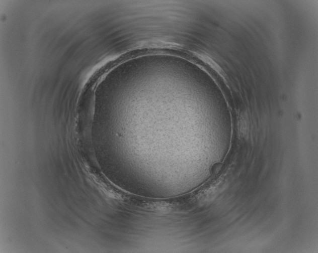 X0000076320971200610061406