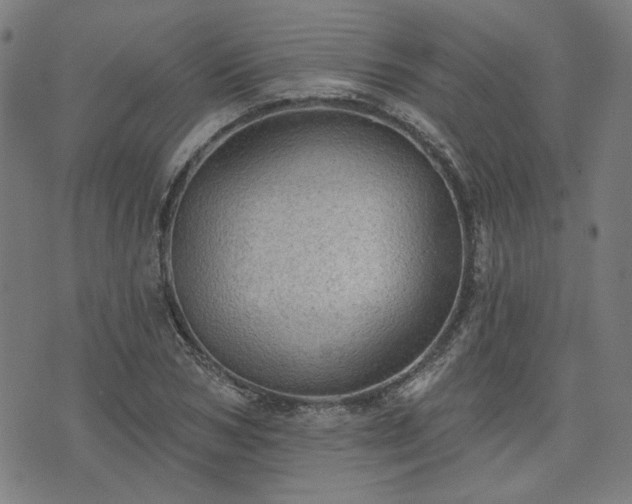 X0000076320978200610061406