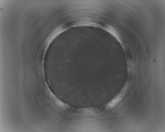X0000076320995200610061406