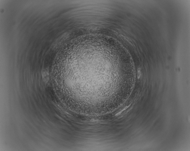 X0000076321011200610061405