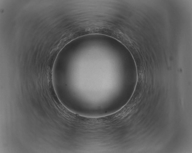 X0000076321012200610061405