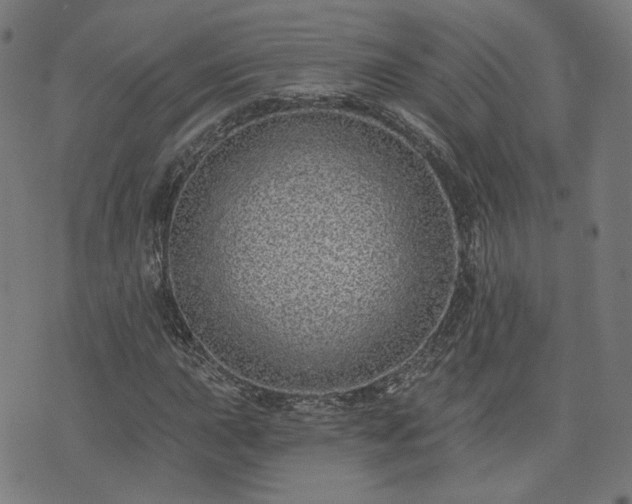 X0000076321015200610061405