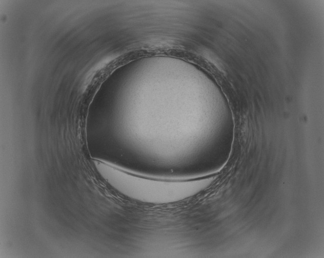 X0000076321016200610061405