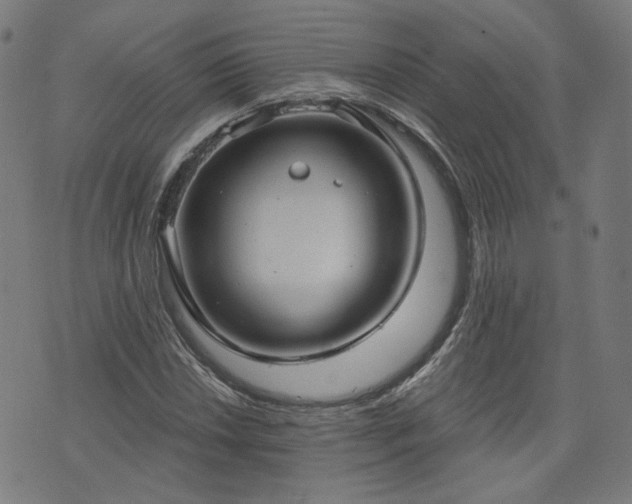 X0000076321018200610061405