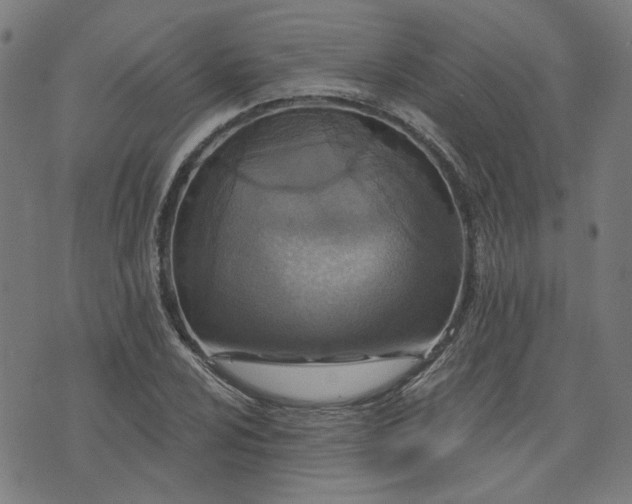 X0000076321024200610061405