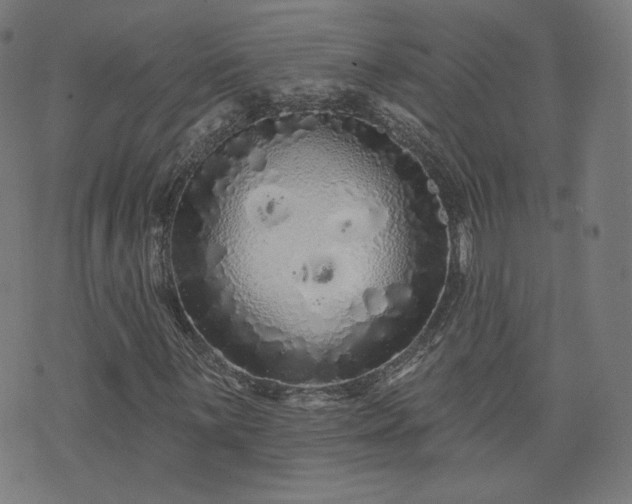 X0000076321059200610061405