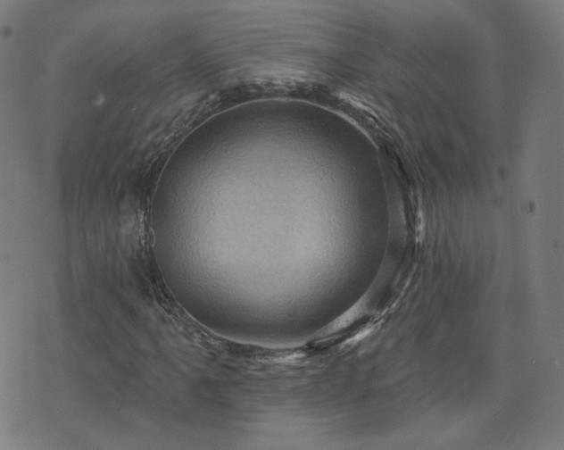 X0000076321061200610061405