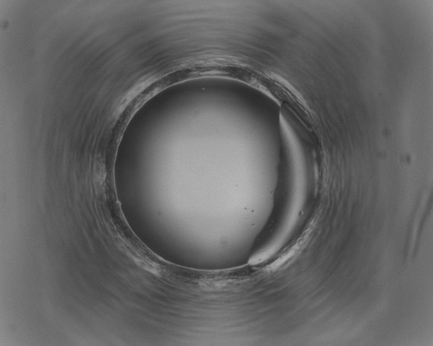 X0000076321065200610061404