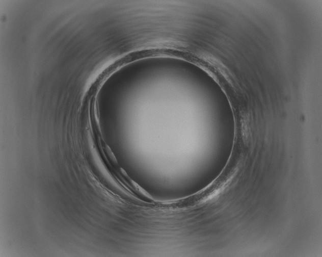 X0000076321069200610061404