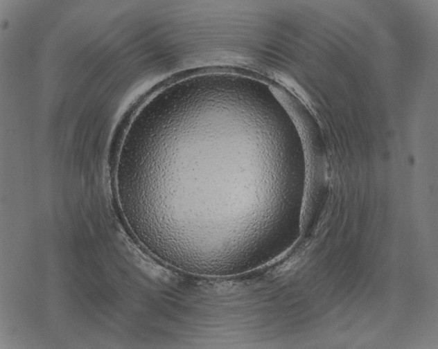 X0000076321072200610061404