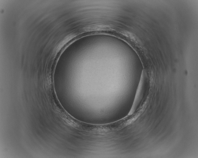 X0000076321073200610061404