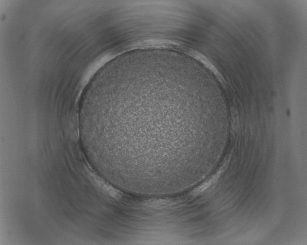 X0000076321075200610061404
