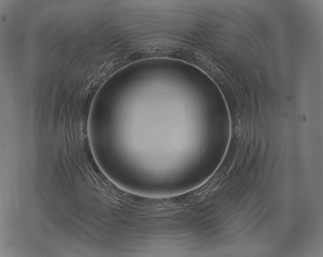 X0000076321108200610061403