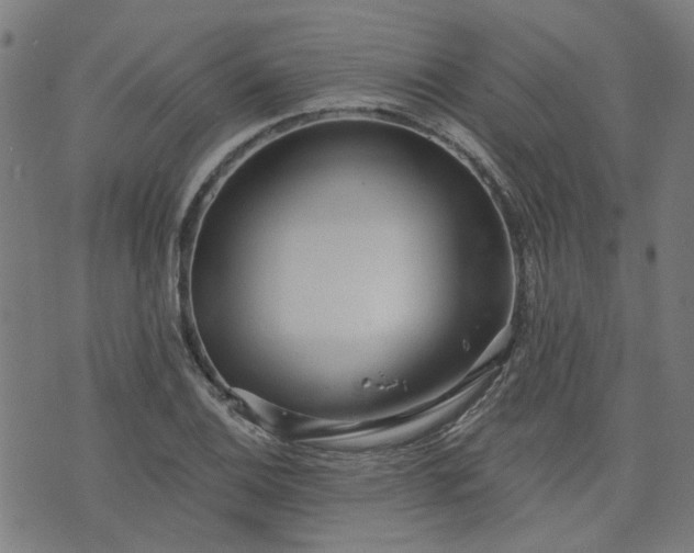 X0000076321124200610061403