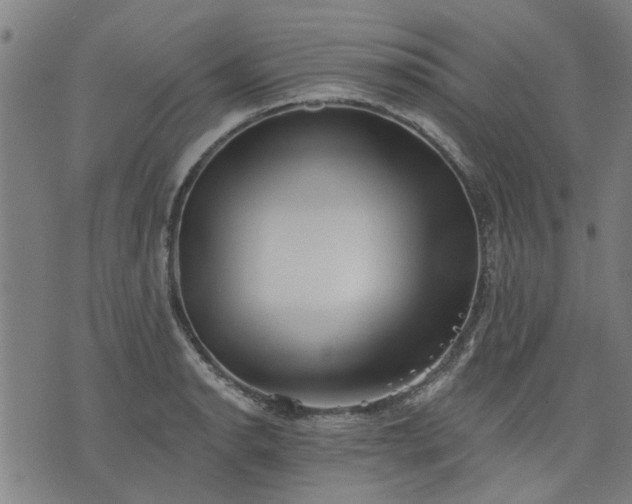 X0000076321134200610061404
