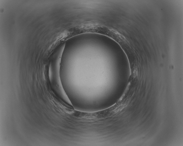 X0000076321156200610061403