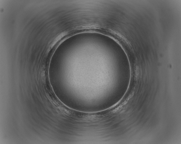 X0000076321162200610061403