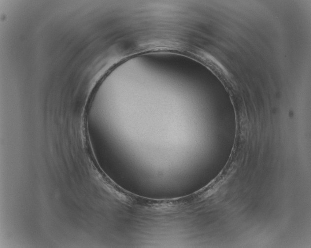 X0000076321182200610061403