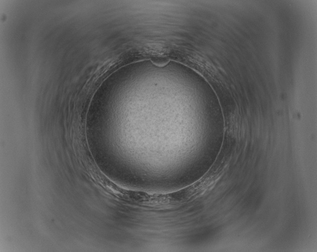 X0000076321201200610061402