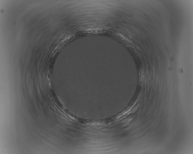 X0000076321202200610061402