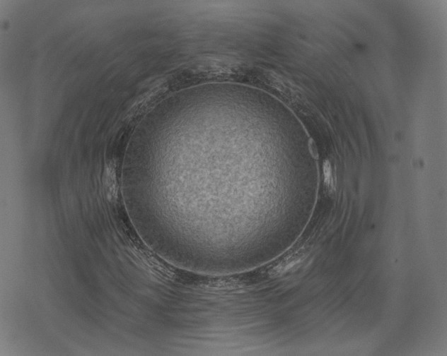 X0000076321203200610061402