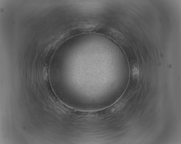 X0000076321204200610061402